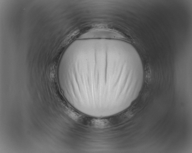 X0000076090277200610202117