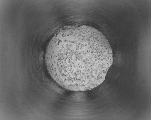 X0000076090278200610202117