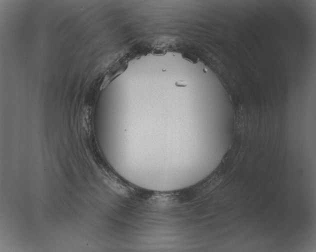 X0000076090280200610202117