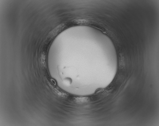 X0000076090281200610202117