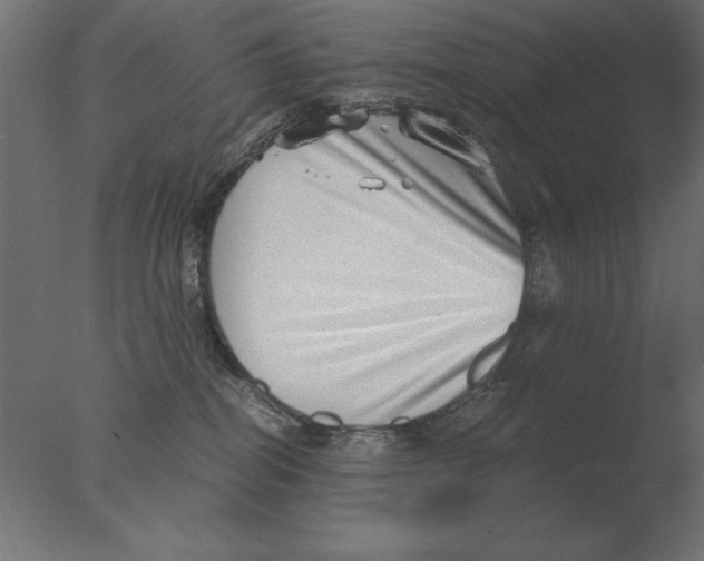 X0000076090282200610202117