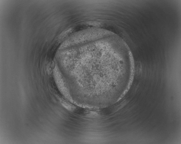 X0000076090285200610202117