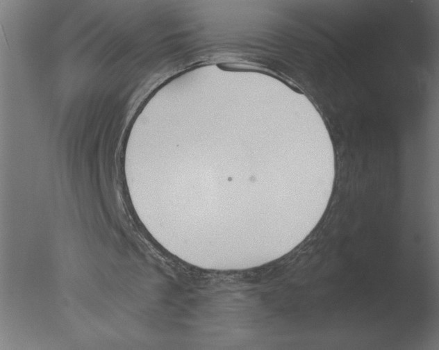 X0000076090289200610202116