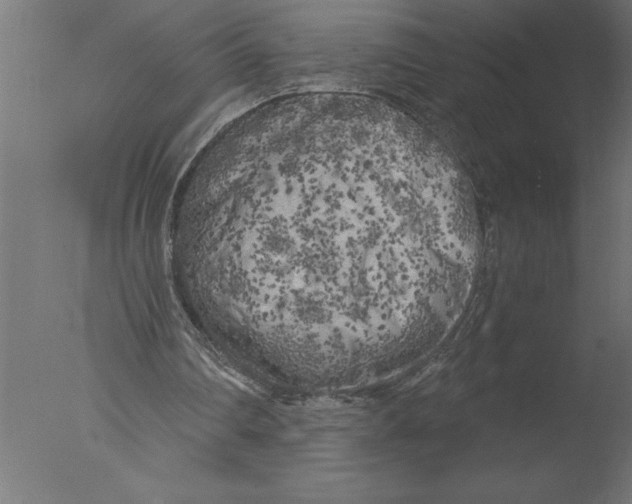 X0000076090290200610202116