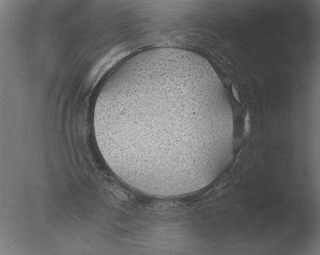 X0000076090291200610202116