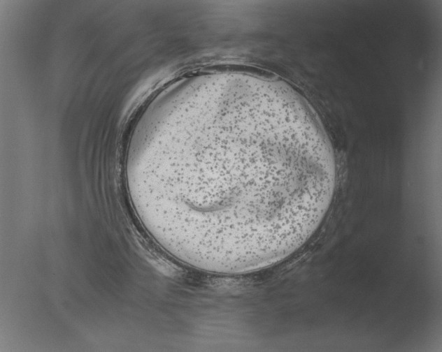 X0000076090293200610202116