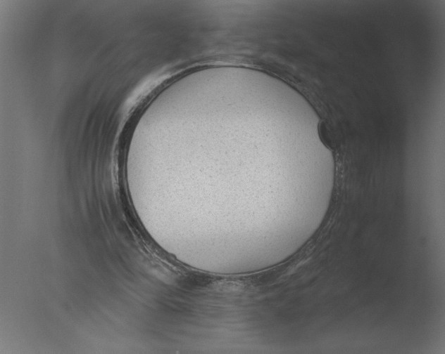 X0000076090294200610202116