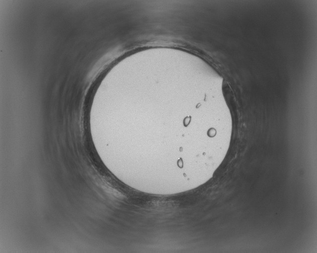 X0000076090296200610202116