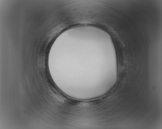 X0000076090299200610202116