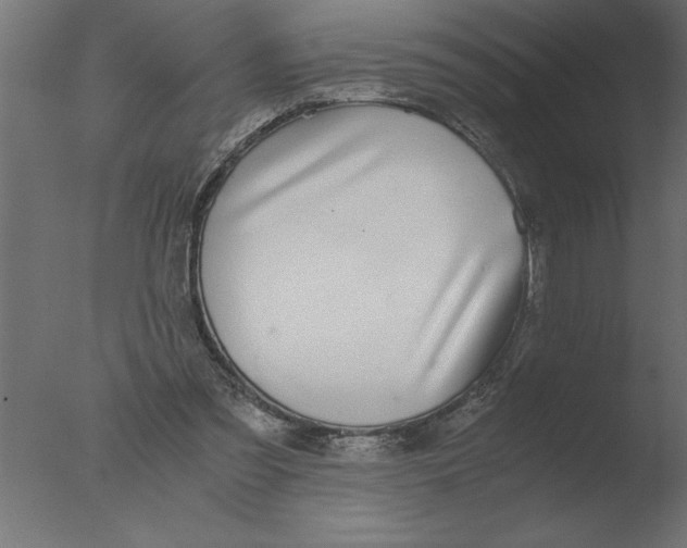 X0000076090301200610202116