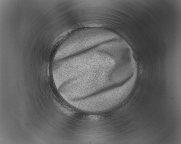 X0000076090302200610202116