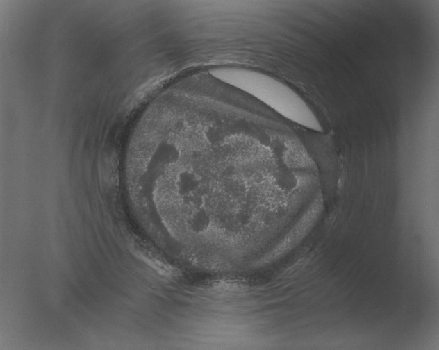 X0000076090303200610202116