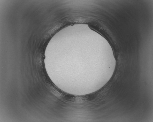 X0000076090305200610202116