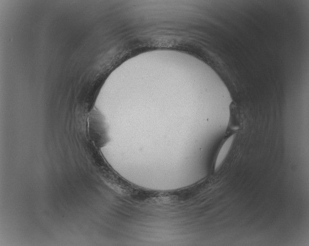 X0000076090307200610202116