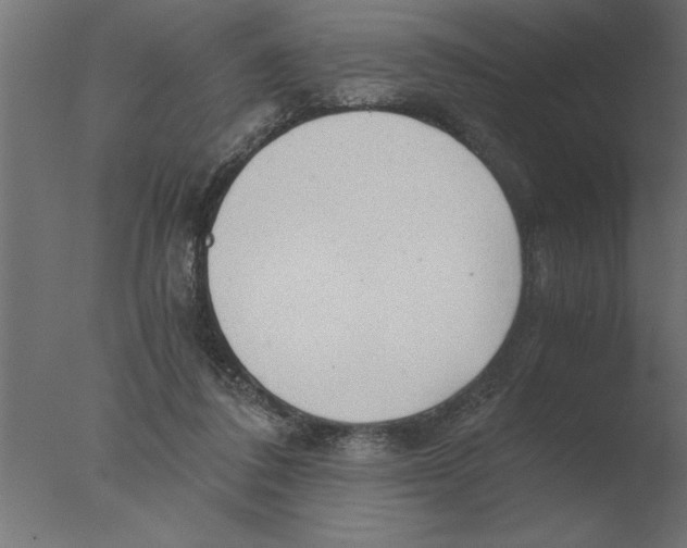 X0000076090308200610202116