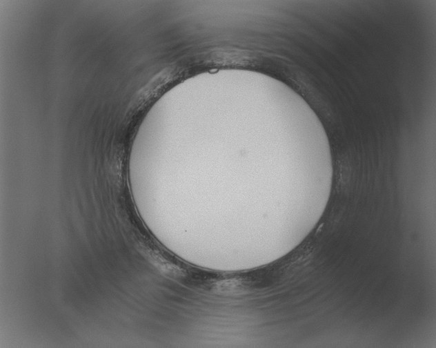 X0000076090309200610202116