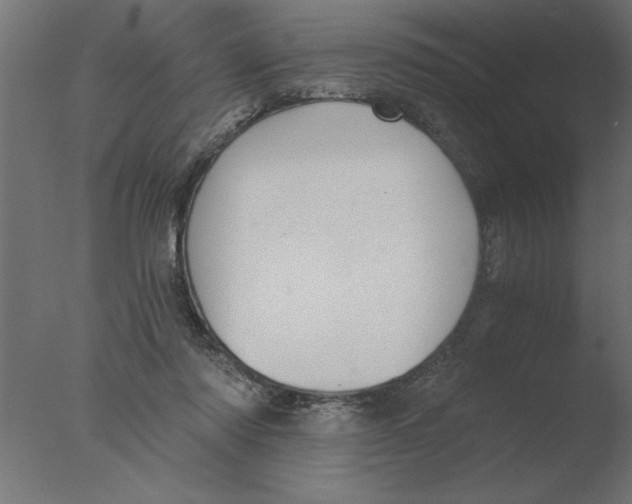 X0000076090310200610202116