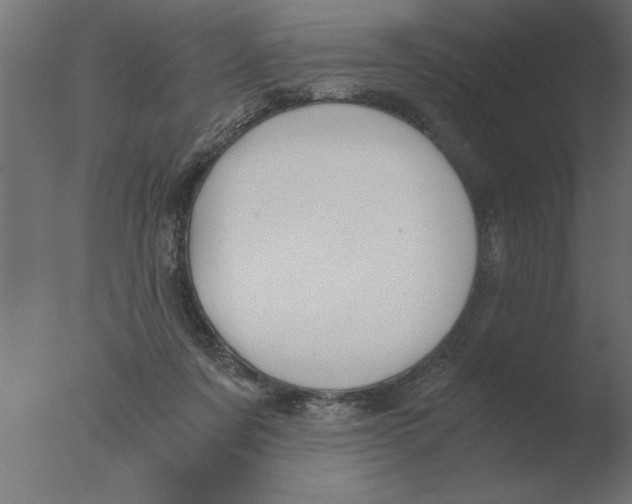 X0000076090311200610202116