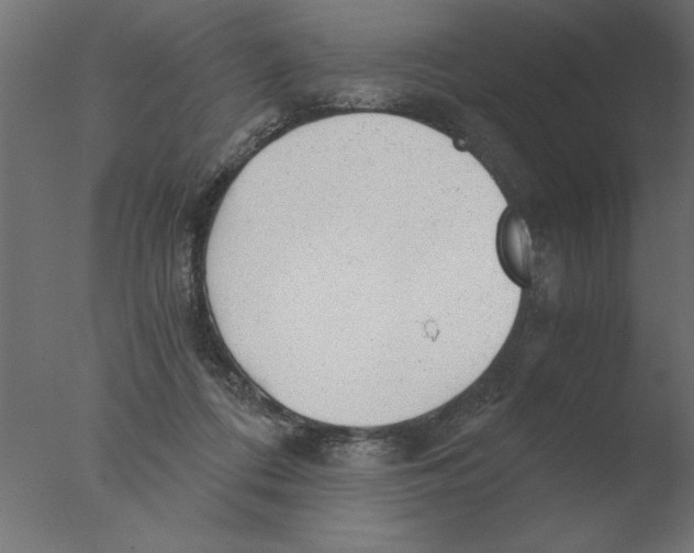 X0000076090312200610202116