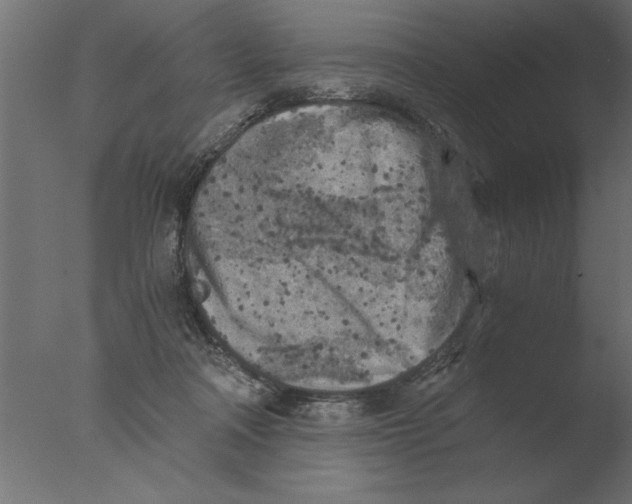 X0000076090314200610202116