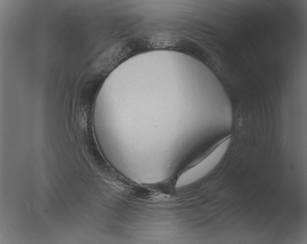 X0000076090315200610202116