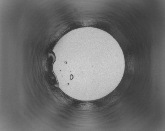 X0000076090316200610202116