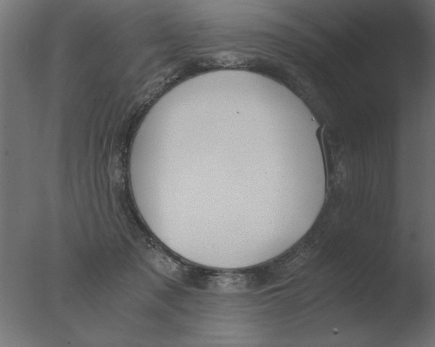 X0000076090317200610202116