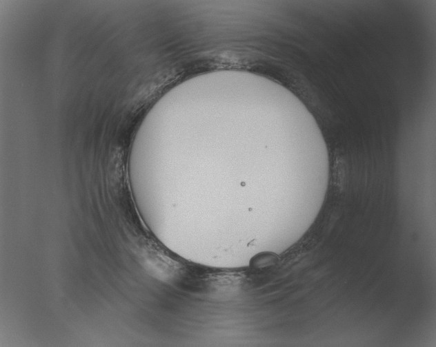 X0000076090318200610202116