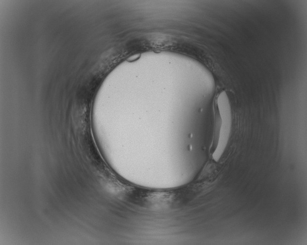 X0000076090319200610202116