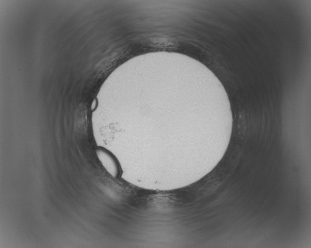 X0000076090320200610202115