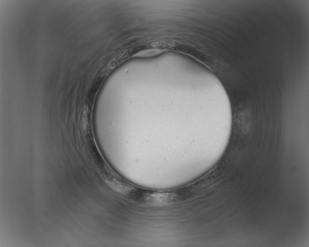 X0000076090323200610202115