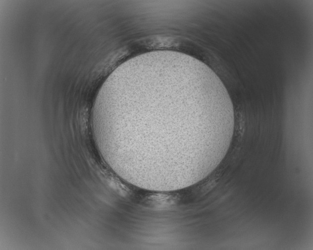 X0000076090326200610202115