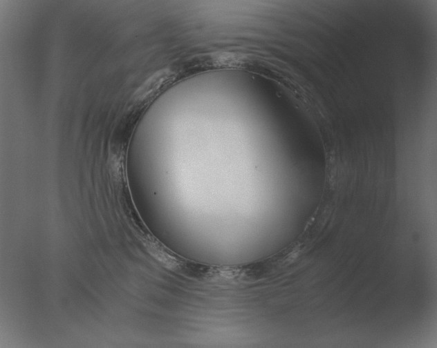 X0000076090329200610202115