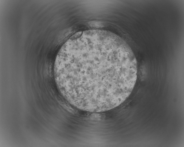 X0000076090330200610202115