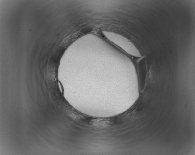 X0000076090331200610202115