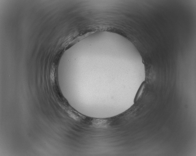 X0000076090334200610202115