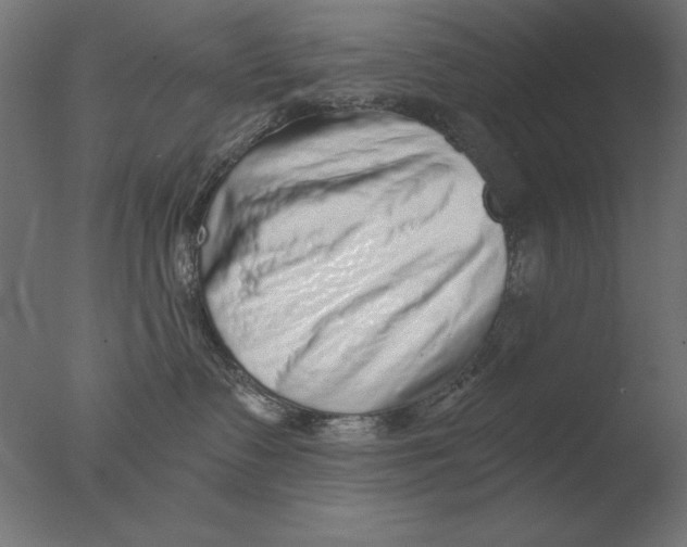 X0000076090335200610202115