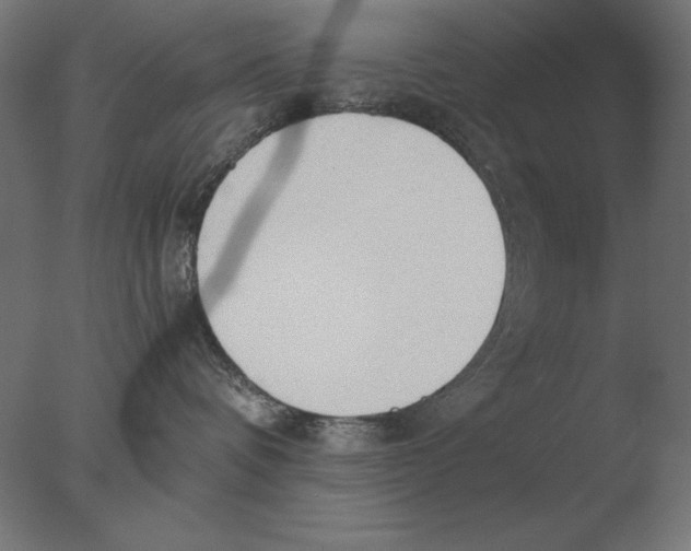 X0000076090336200610202115