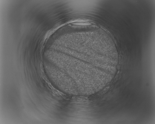 X0000076090337200610202114