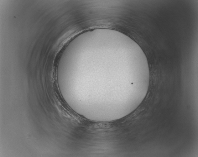 X0000076090338200610202114