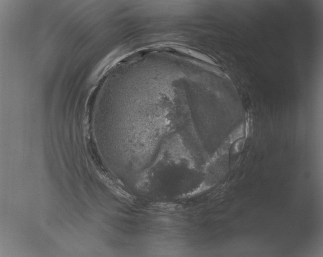 X0000076090339200610202114