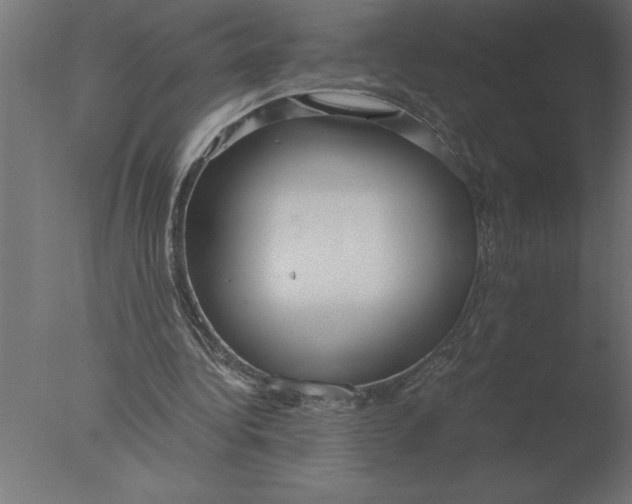 X0000076090340200610202114