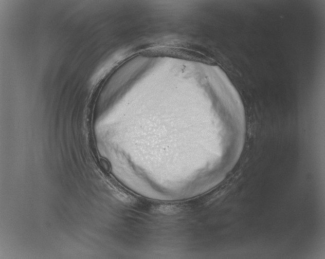 X0000076090341200610202114