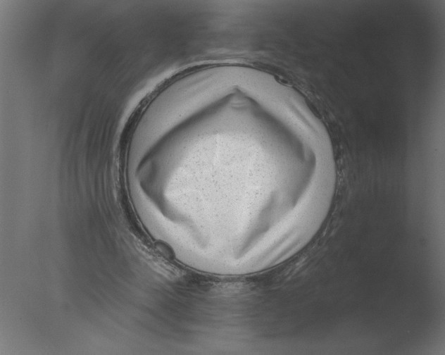 X0000076090342200610202114