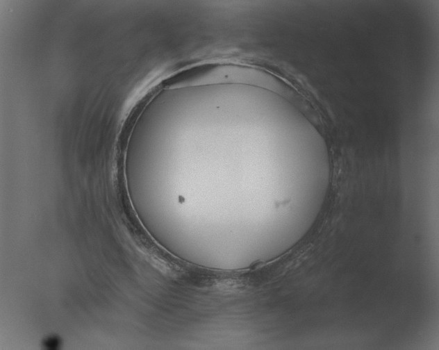 X0000076090344200610202115