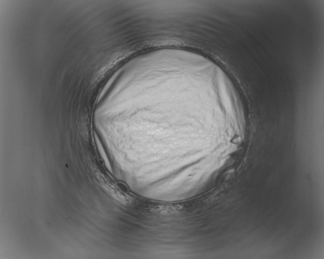 X0000076090345200610202115