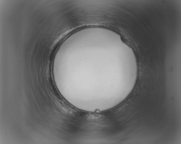 X0000076090346200610202115