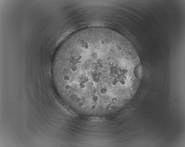 X0000076090347200610202115