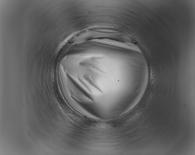 X0000076090348200610202115