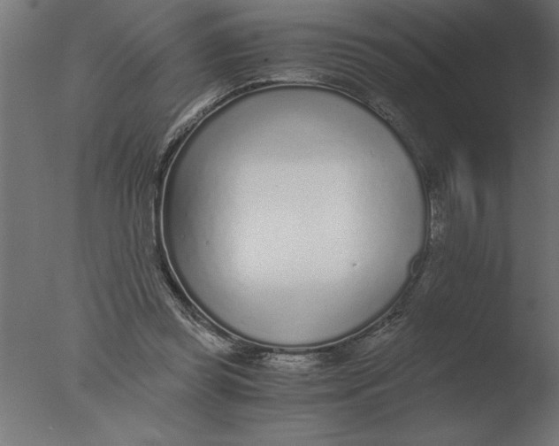 X0000076090349200610202115